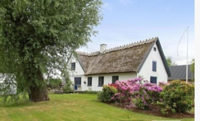 Pegasus Bed & Breakfast Hillerød Buitenkant foto