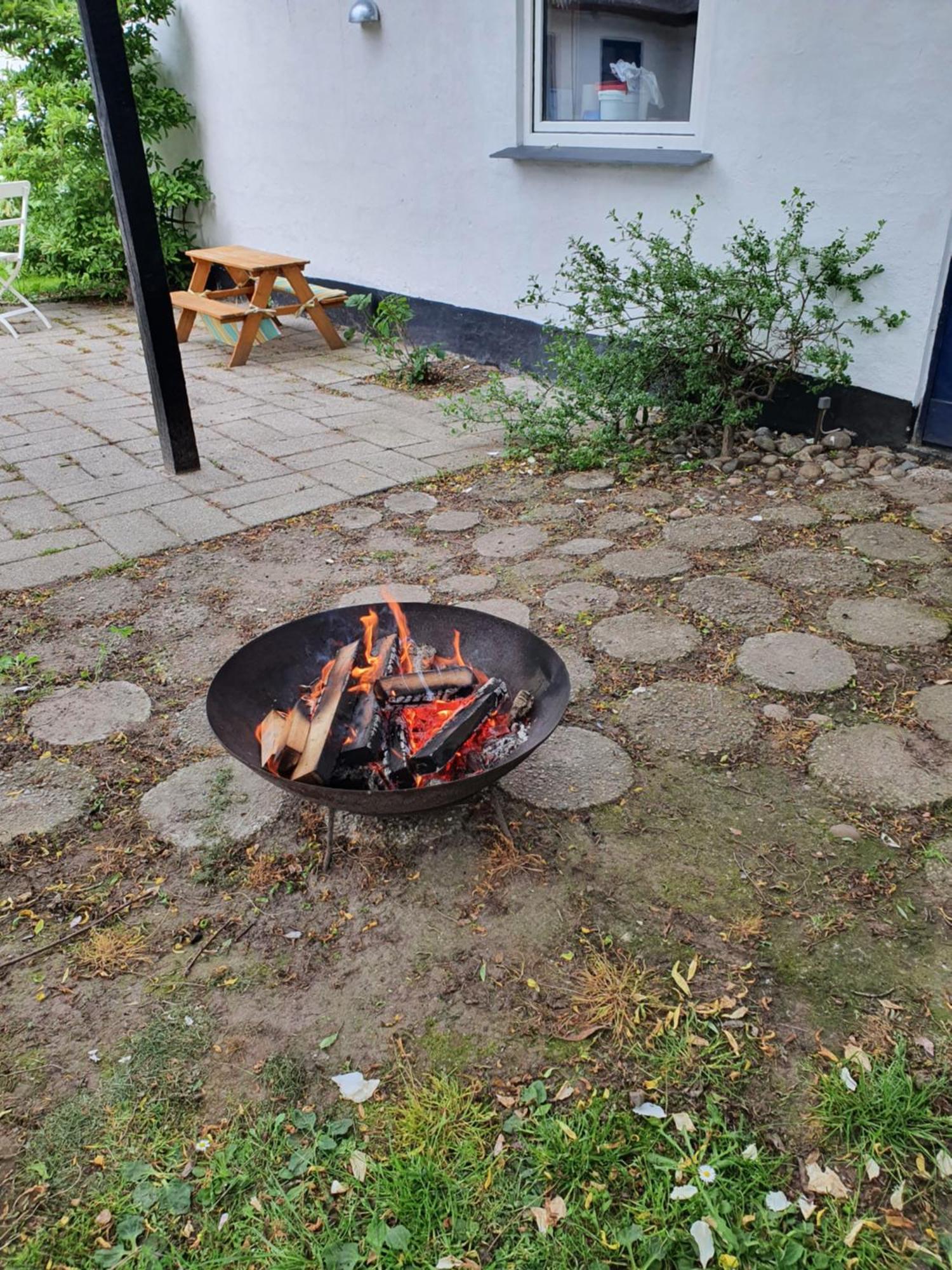 Pegasus Bed & Breakfast Hillerød Buitenkant foto