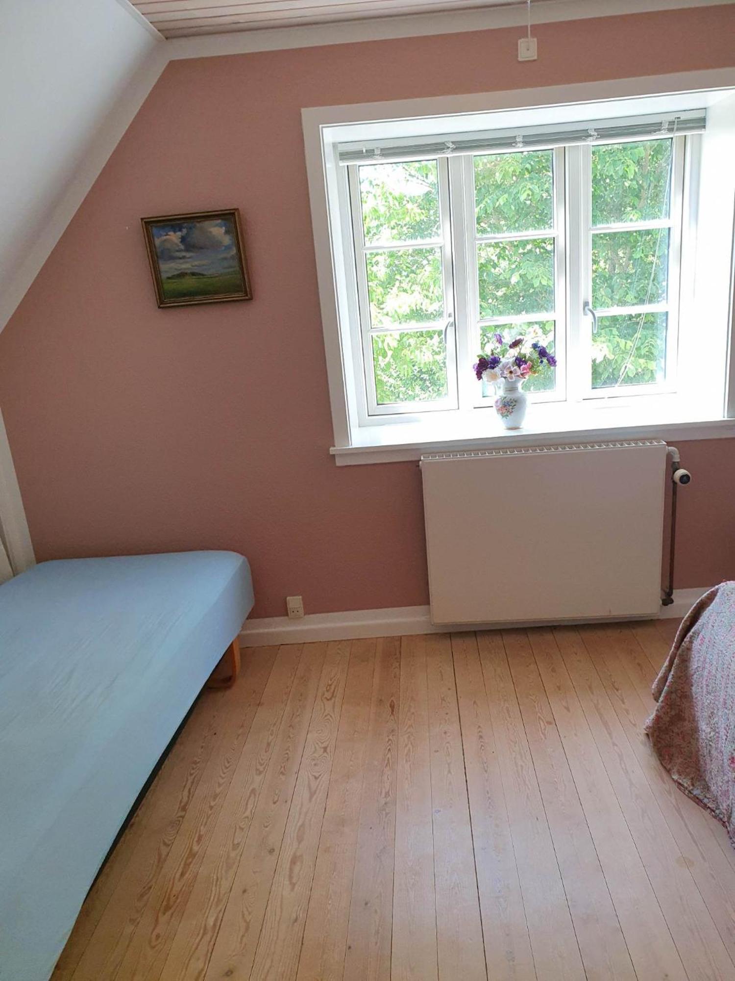 Pegasus Bed & Breakfast Hillerød Buitenkant foto