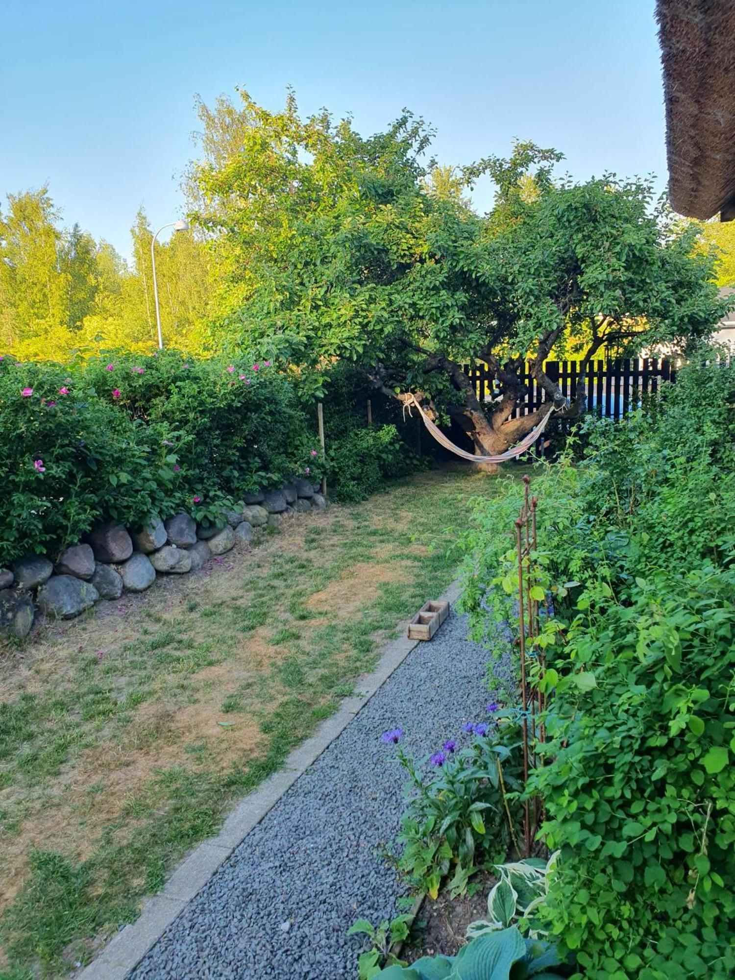 Pegasus Bed & Breakfast Hillerød Buitenkant foto